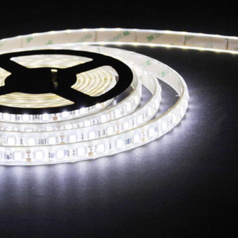 Flexibele LED Strip 5050 CoolWhite 6000K 60leds/mtr IP67 PU-Glue