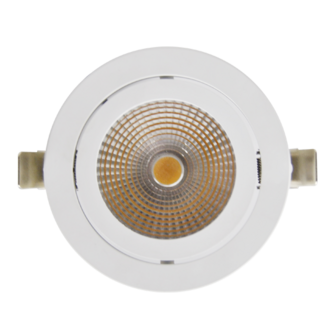Adjustable 14,3W LED Downlight Round Cut hole: 120mm 