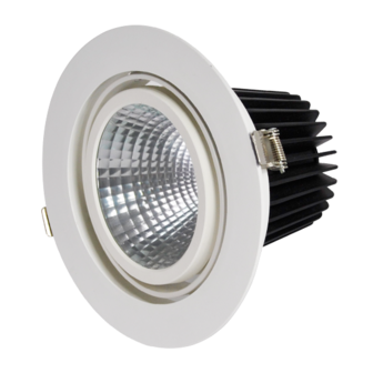 Adjustable 19,6W LED Downlight Round Cut hole: 175mm 
