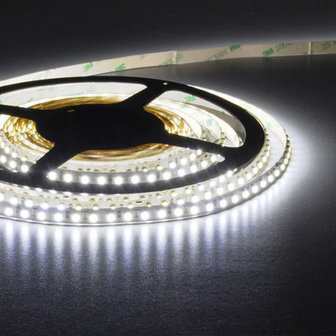 Flexibele LED Strip 3528 CoolWhite 6000K 120LEDs/mtr IP20