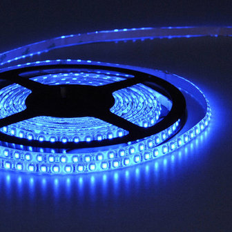 Flexibele LED Strip 3528 Blauw 120LEDs/mtr IP64