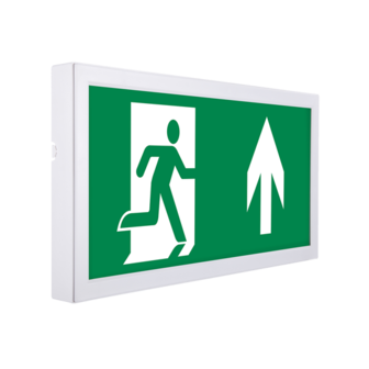 LED Exit sign Enzo 3,6V 1200mah