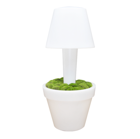 LED Vaas Rond met lamp 