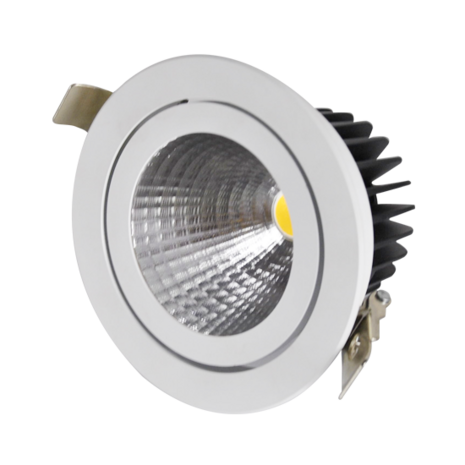 Adjustable 19,6W LED Downlight Round Cut hole: 120mm 