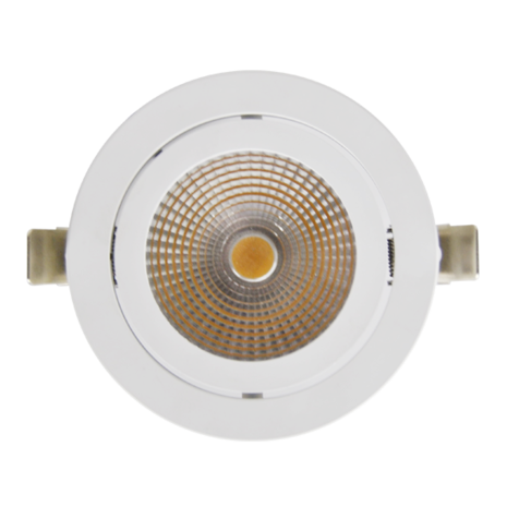 Adjustable 19,6W LED Downlight Round Cut hole: 120mm 