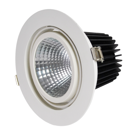 Adjustable 19,6W LED Downlight Round Cut hole: 175mm 