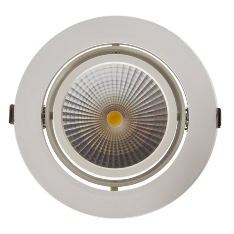 Adjustable 19,6W LED Downlight Round Cut hole: 175mm 