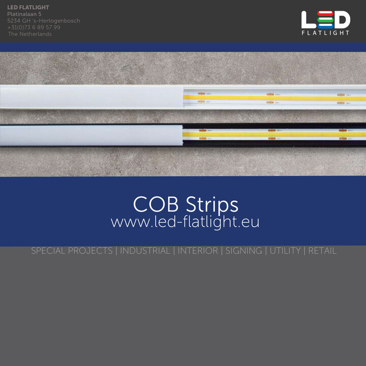 COB Strips