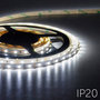 Flexibele-LED-Strip-3528-CoolWhite-6000K-60LEDs-mtr-IP20